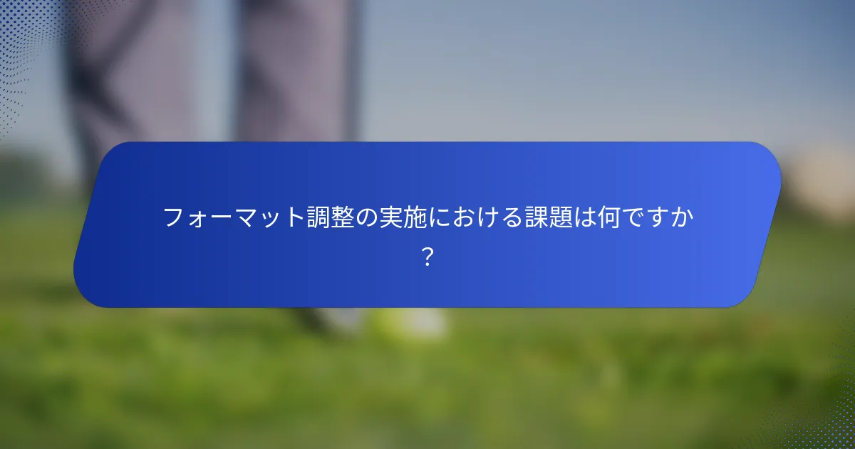 フォーマット調整の実施における課題は何ですか？