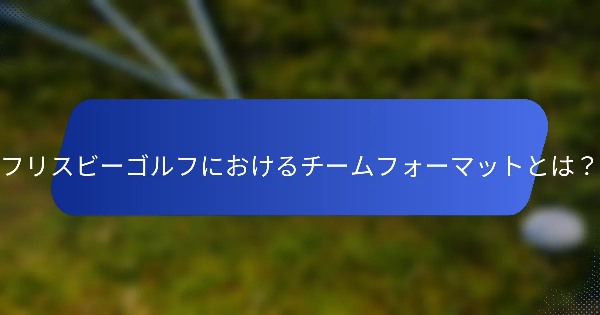 フリスビーゴルフにおけるチームフォーマットとは？