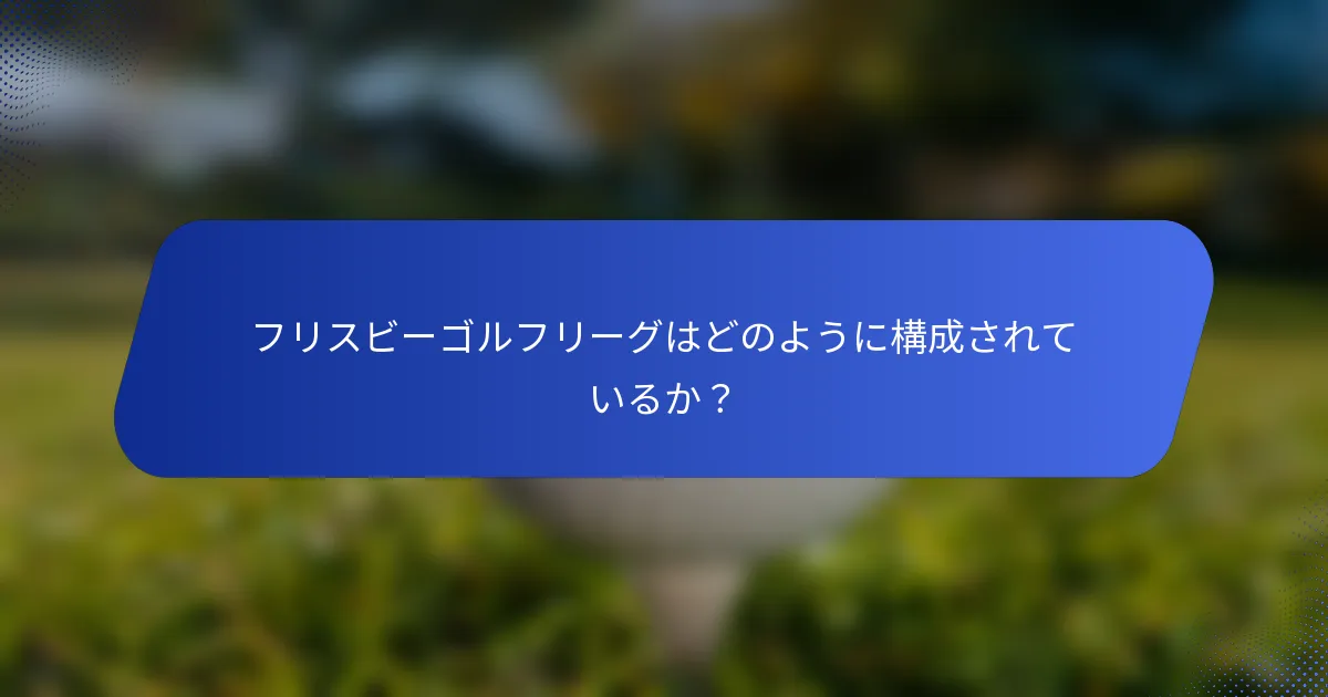 フリスビーゴルフリーグはどのように構成されているか？